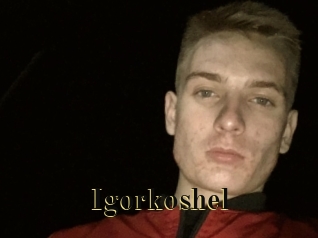 Igorkoshel