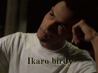 Ikaro_birdy