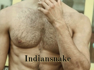 Indiansnake