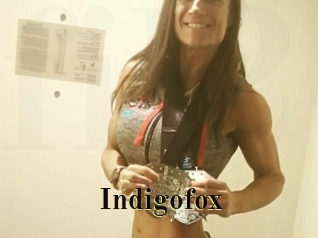 Indigofox