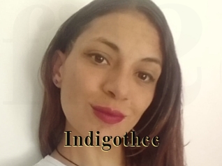 Indigothcc