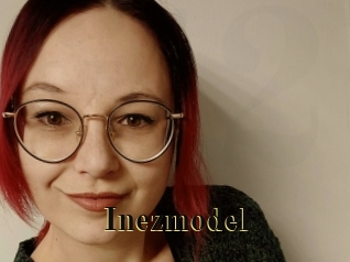 Inezmodel