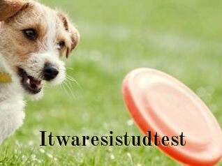 Itwaresistudtest
