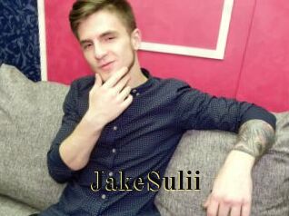 JakeSulii