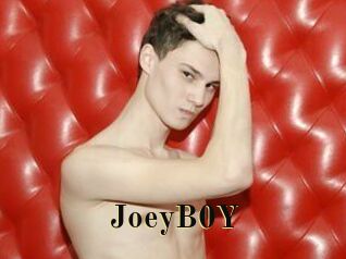 JoeyB0Y