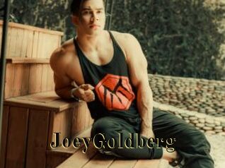 JoeyGoldberg