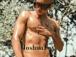 JoshuaFox