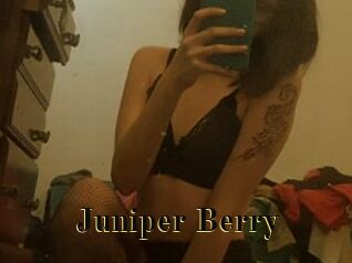 Juniper_Berry