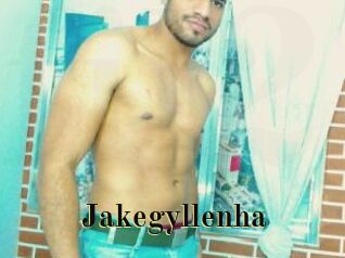 Jakegyllenha