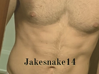 Jakesnake14