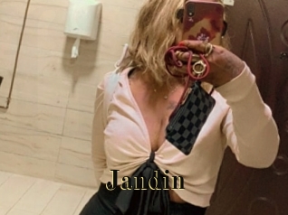 jandin Films 2 Q