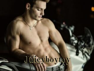 Juicyboytoy