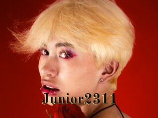 Junior2311