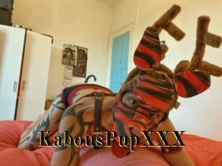 KabousPupXXX