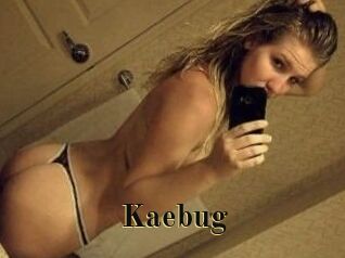 Kaebug