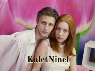 KaletNinel