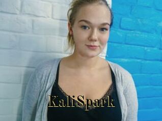 KaliSpark