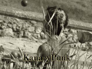 KanaryPunk