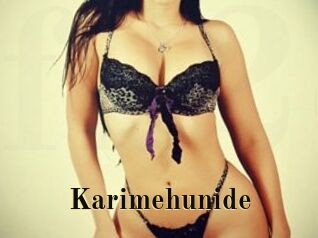 Karimehunide