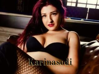 Karinasodi