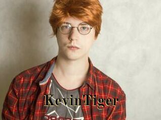 KevinTiger