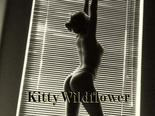 KittyWildflower