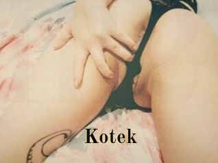 Kotek