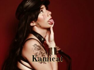 Kamicat