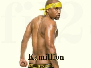 Kamillion