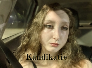Kandikatie