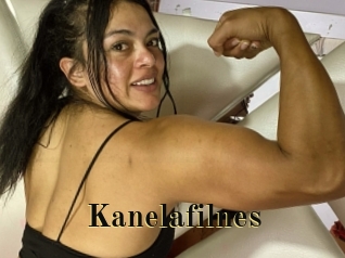 Kanelafilnes