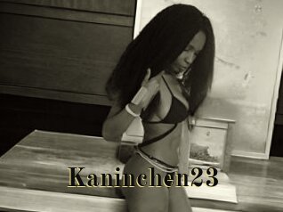 Kaninchen23