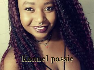 Kannel_passie