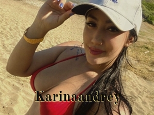 Karinaandrey