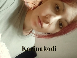 Karinakodi