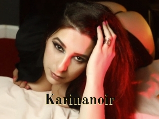 Karinanoir