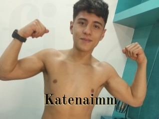 Katenaimm