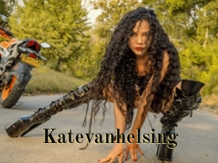 katevanhelsing Films 2 Q