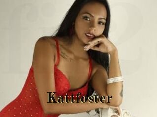 Kattfoster