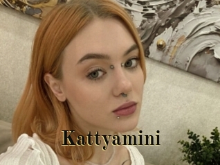 Kattyamini