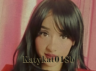 Katykat018b