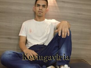 Kevingaviria