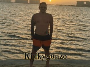 Kinkygonzo