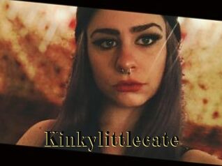 Kinkylittlecate