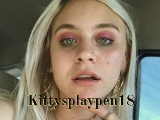 Kittysplaypen18