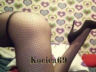 Kocica69