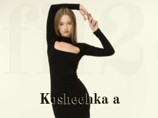 Koshechka_a