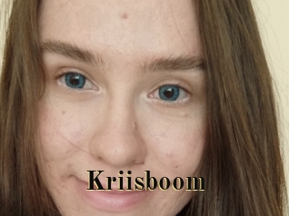 Kriisboom
