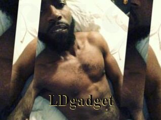 LDgadget
