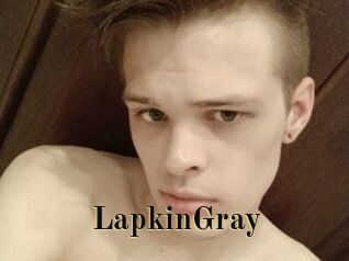 LapkinGray